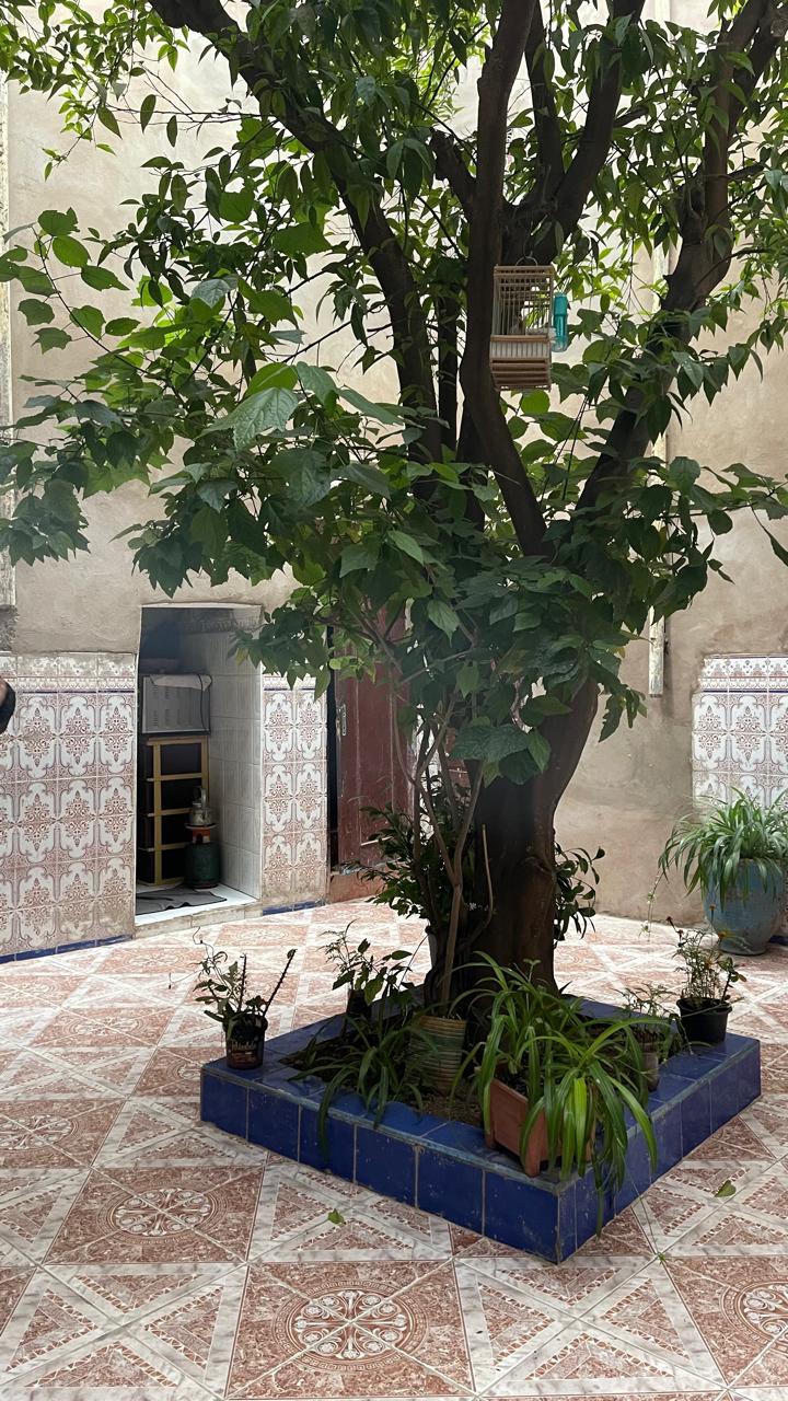 Riad à vendre Sidi Ahmed Soussi Marrakech
